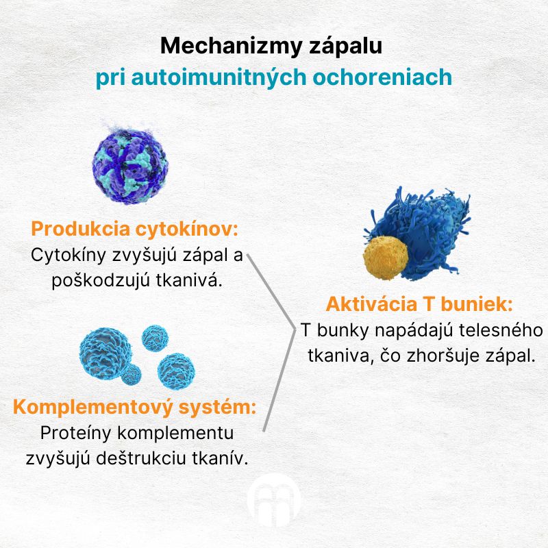 (Slovenčina) Mechanismy zánětu při autoimunitních onemocněních